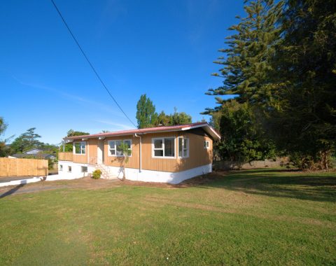 1024px.173076316__1762294026-27980-75