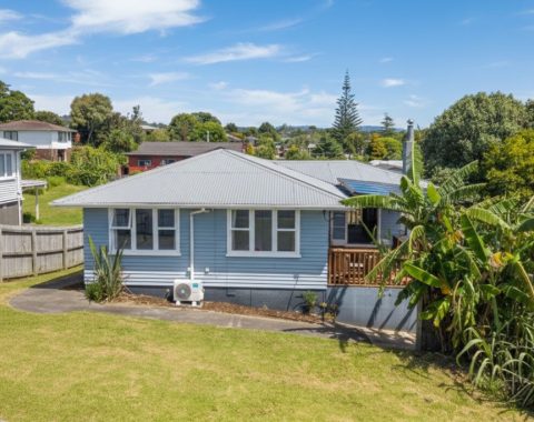 1024px.188742518__1771970819-14390-MainShot