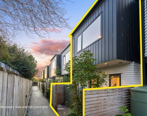 1024px.189323122__1772153697-39044-69923